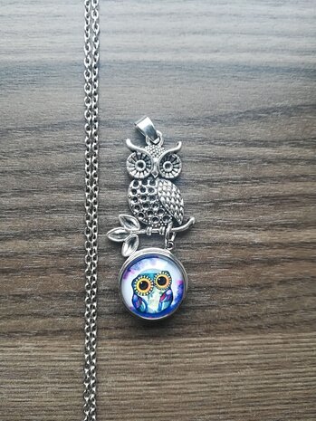 Kleine uil met 18 mm button